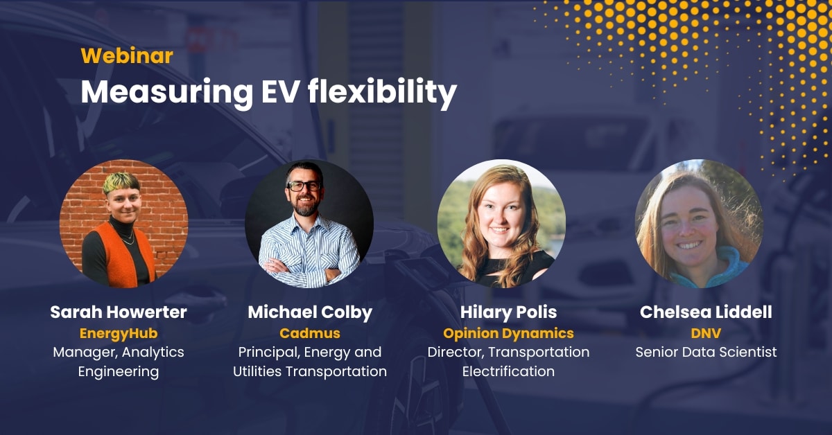 Measuring EV flexibility