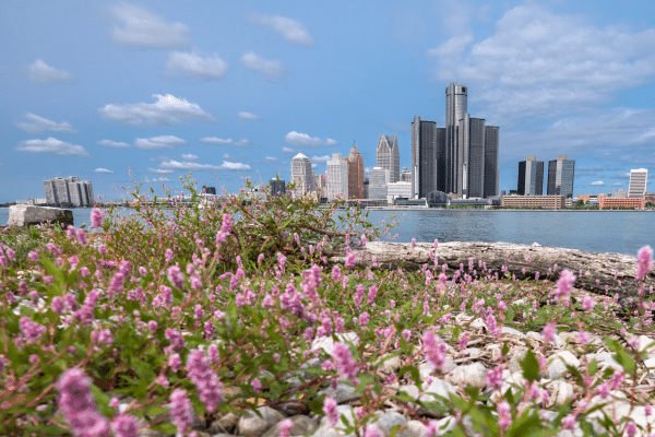 A view of the Detroit skyline with flowers in the foreground.