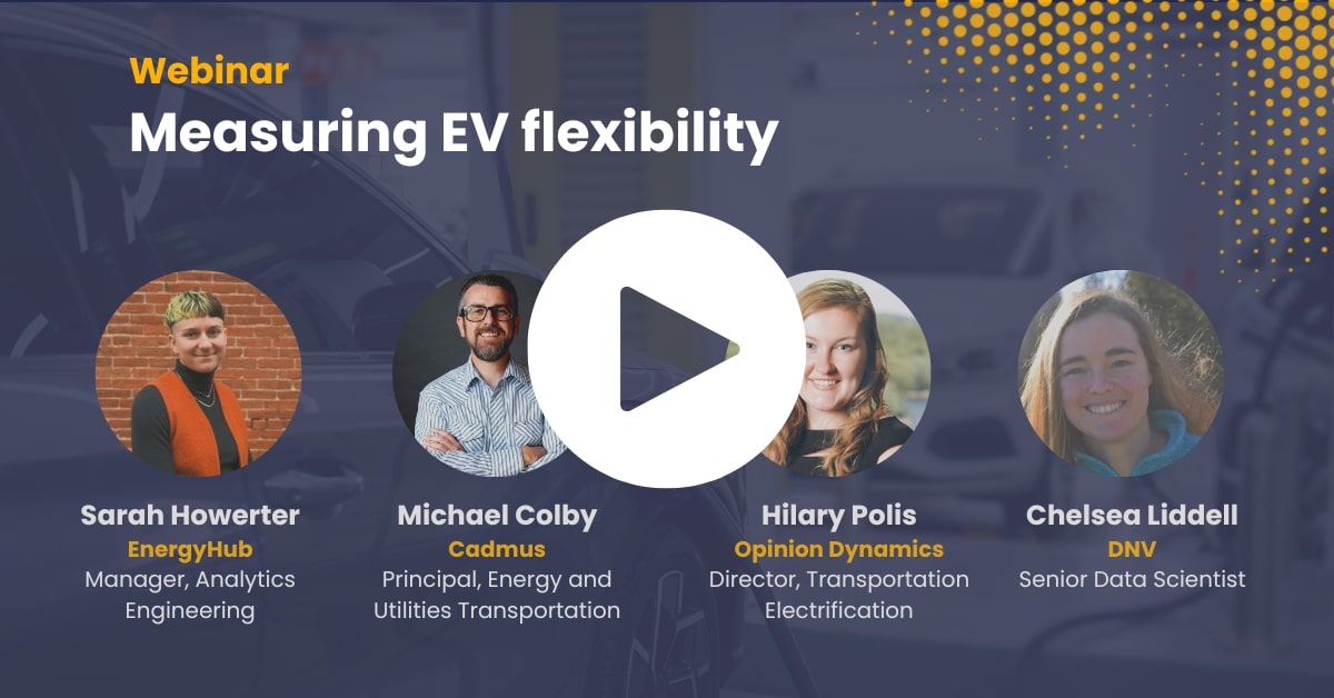 Measuring EV flexibility